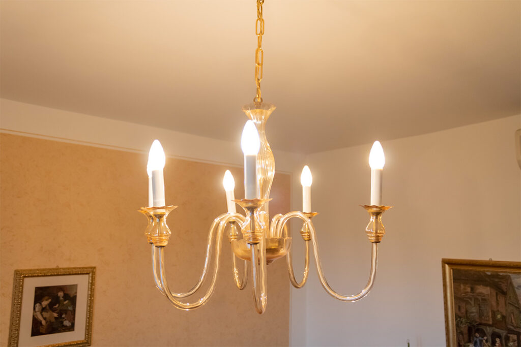 galery-agriturismo-pino-argentato (17) Gallery agriturismo pino argentato