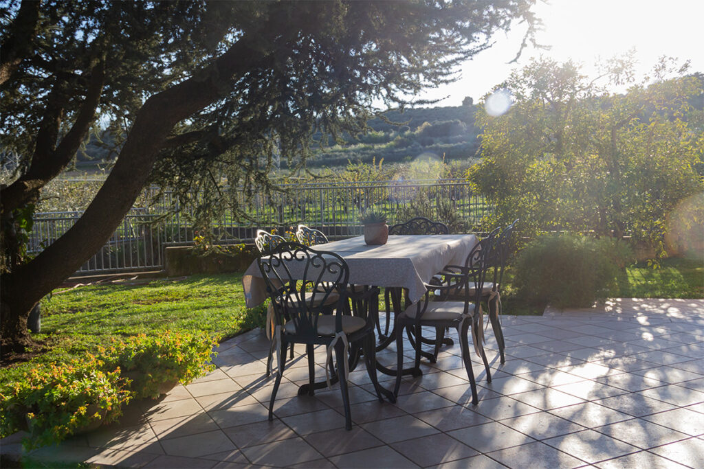 galery-agriturismo-pino-argentato (40) Gallery agriturismo pino argentato